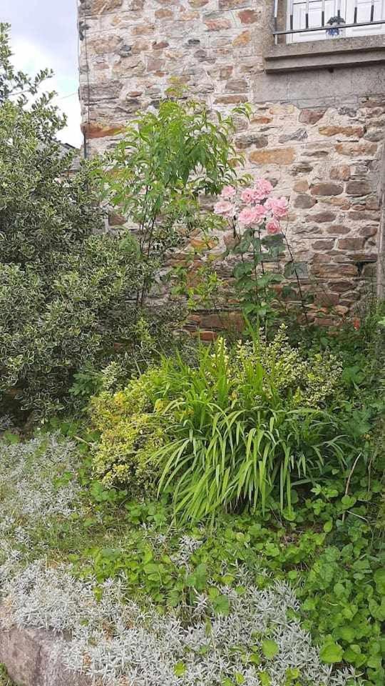 Casa Do Hiebra Alojamiento Rural Ribeira Sacra Castroncelos Екстериор снимка