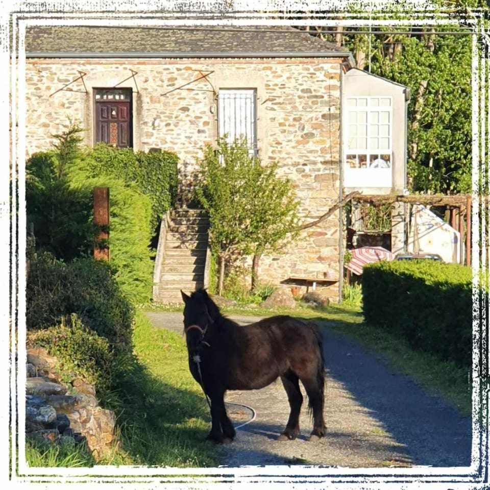 Casa Do Hiebra Alojamiento Rural Ribeira Sacra Castroncelos Екстериор снимка