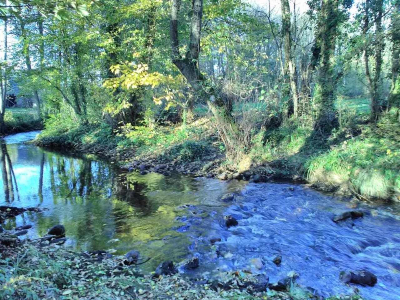 Casa Do Hiebra Alojamiento Rural Ribeira Sacra Castroncelos Екстериор снимка